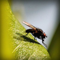 /album/rothransdutom/photolia-a04-jpg/