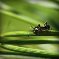 /album/rothransdutom/photolia-a05-jpg/