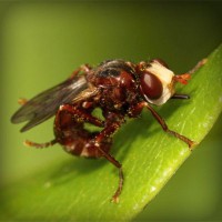 /album/rothransdutom/photolia-a06-jpg/