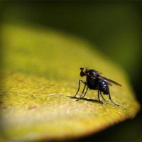 /album/rothransdutom/photolia-a07-jpg/